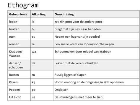 Protocol And Ethogram Gedragsonderzoek Struisvogel