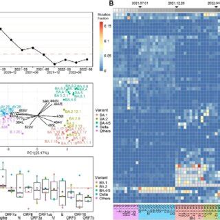 Immune Evasion And ACE2 Binding Affinity Drove The Evolution Of