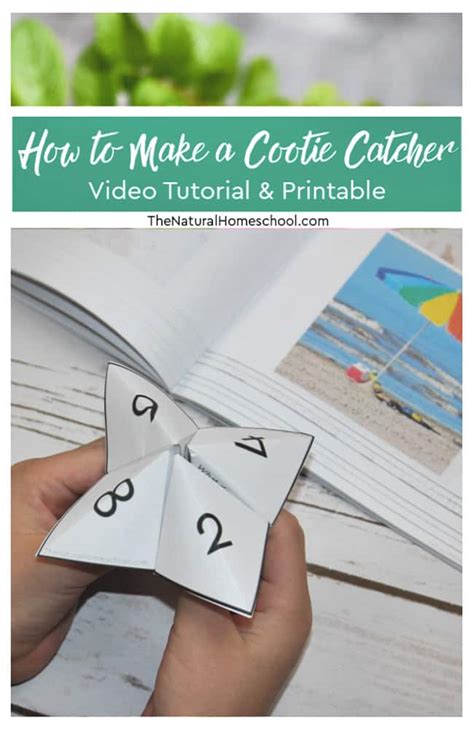 How To Make A Cootie Catcher ~ Video Tutorial The Natural Homeschool