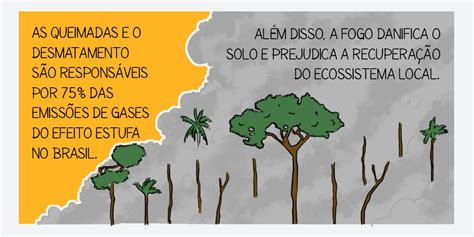 Aos Fatos On Twitter No Ar Desenhamos Fatos Sobre As Queimadas No