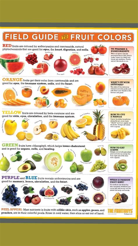 Eat More Color Infographic Artofit