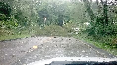 Temporal provoca alagamentos queda de energia e de árvores Jornal