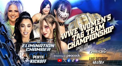 Wwe Elimination Chamber 2024 Les Titres Par équipe Féminins En Jeu