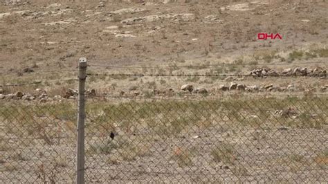 Konya Antik Çağ dan Kalma Çift Şeritli Yol Gün Yüzüne Çıkarılıyor