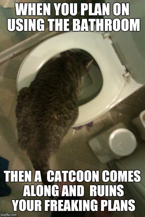 toilet cat Memes & GIFs - Imgflip