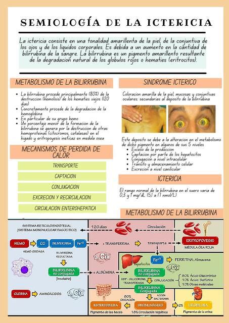 Semiolog A De La Ictericia Dra Liderly Udocz