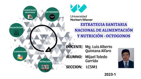 Estrategia Sanitaria Nacional De AlimentaciÓn Y NutriciÓn Octogonos By Mijael Toledo Garrido