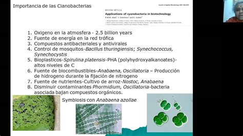 Cianobacterias Importancia Y Problemas Por La Dra Nandini Sarma