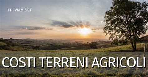 Prezzi Dei Terreni Agricoli Come Si Valuta Il Costo