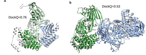 New Approach Increases Alphafold 2s Effectiveness For Protein