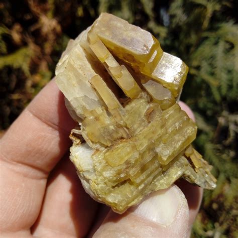 Baryte Mine St Nicolas Silberthal Steinbach Haut Rhin France