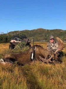 Rates Packages Caribou Cove Outfitters Big Game Hunting In