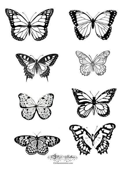 8 Mariposas Monarch Butterfly Tattoo Simple Butterfly Tattoo Butterfly Tattoo Meaning