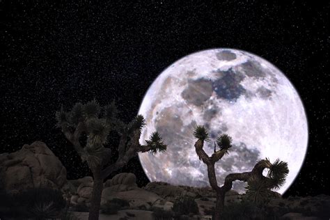 Full Moon Over Joshua Tree Pbuschmann Flickr