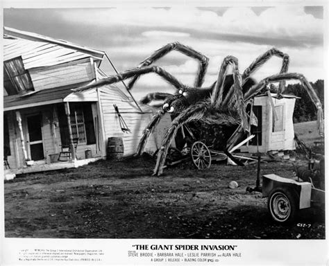 The Giant Spider Invasion 1975