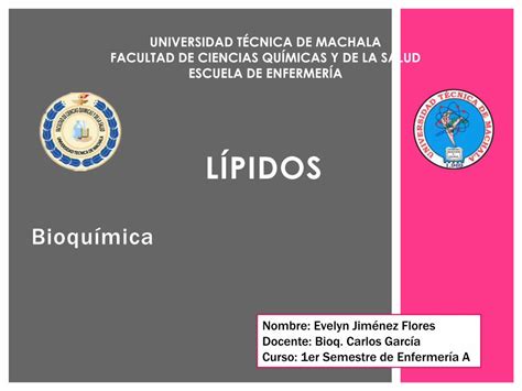 Pdf Lipidos Bioquimica B Dokumen Tips