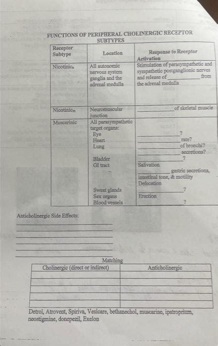 Solved FUNCTIONS OF PERIPHERAL CHOLINERGIC RECEPTOR SUBTYPES | Chegg.com