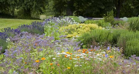 Create A Cottage Garden Jung Seed Gardening Blog