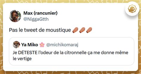 Top Des Meilleurs Tweets Sur Les Moustiques Ils Sont De Retour Twog