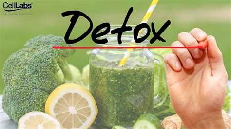 Why You Should Detox Your Body Celllabs