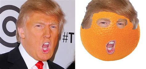 15 Things That Look Just Like Donald Trump