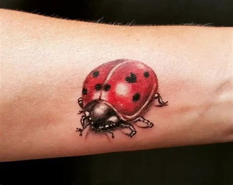 Ladybug Tattoo Ideas