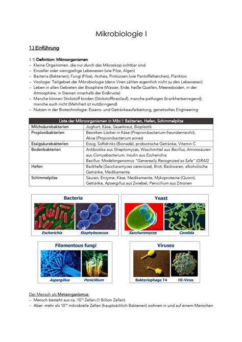 Mibi I Zusammenfassung Mikrobiologie I Einf Hrung Definition