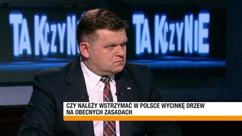 Tak Czy Nie Czy Nale Y Wstrzyma W Polsce Wycink Drzew Na Obecnych