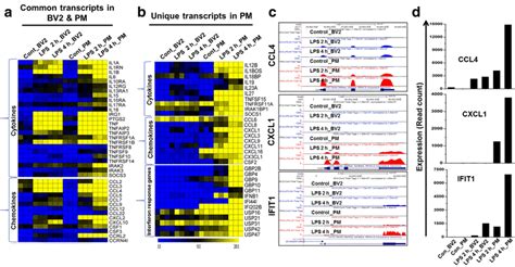 Rna Seq Reveals Shortcomings Of Experimentation Models Rna Seq Blog