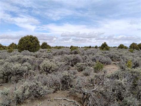 Land For Sale In San Luis Colorado LandSearch