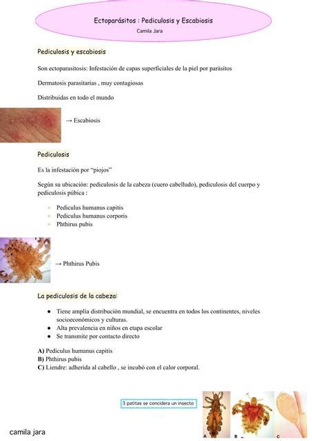 Ectoparásitos Pediculosis y Escabiosis Camila Jara salas uDocz