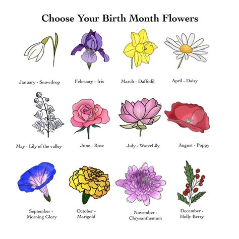 Color Birth Flowers Bouquet, Digital Birth Month Flower Bouquet add ...