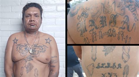 Capturan a pandillero salvadoreño que se ocultaba en Guatemala Diario