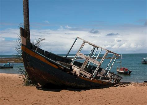 Visit Praia do Forte on a trip to Brazil | Audley Travel UK