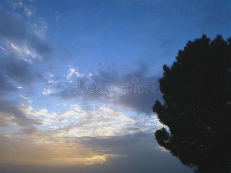 Silhouette of a Tree with a Magnificent Sky Stock Photo - Image of ...