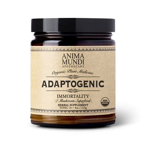 Adaptogenic Mushrooms For Weight Loss - RYZE Superfoods