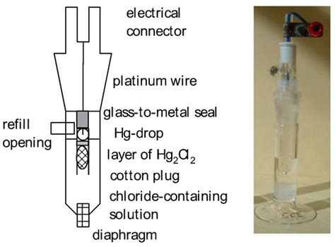 Reference Electrodes