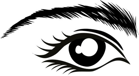 40 Free Eyebrows And Eyes Vectors Pixabay