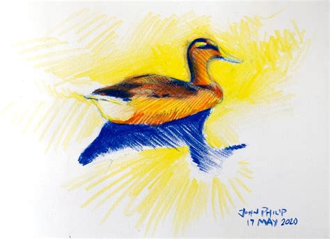 Yellow Duck Sketch – John Philip