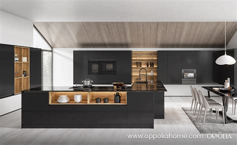 Modern Matte Black Kitchen Cabinets Oppolia