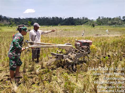 Koramil Juhar Bantu Petani Pembajakan Lahan Persawahan Sura Karo