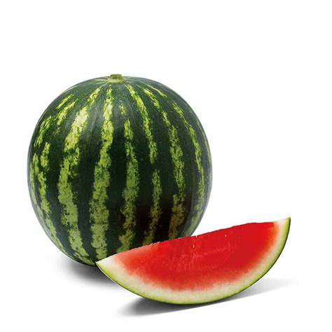 Belinda F Seedless Mini Watermelon Seed Activevista For Market