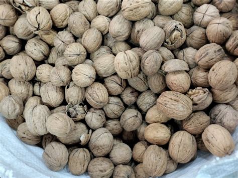 American Whole Walnut At Rs 680 Kilogram Walnut In New Delhi ID