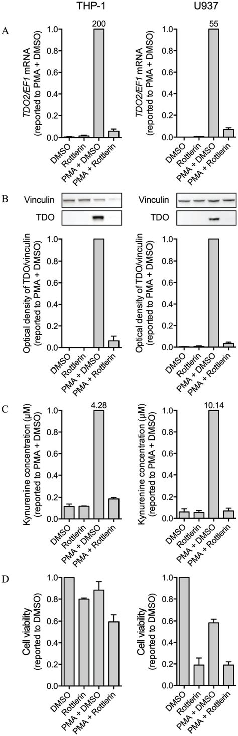 Induction Of Tryptophan 2 3 Dioxygenase Expression In Human Monocytic