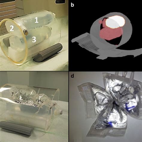 Characteristics Of The Assembled Anthropomorphic Phantom A Scheme Of Download Scientific