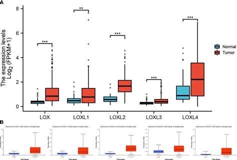 Frontiers Diagnostic Value Prognostic Value And Immune Infiltration