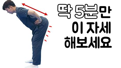 매일5분 허리통증이 사라지는 마법 같은 일이 벌어지게 됩니다 허리디스크 협착증 햄스트링 햄스트링 스트레칭 허리통증