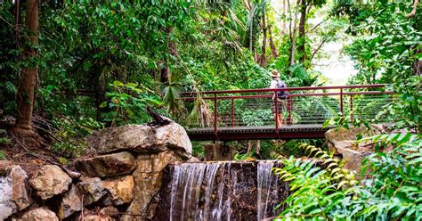 George Brown Darwin Botanic Gardens | Things to do in Darwin