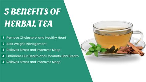 5 Herbal Teas Health Benefits Discover The Wonderful World Of Herbal By Vapika Dec 2023