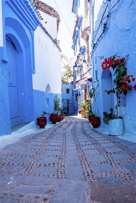 Calle Estrecha Entre Edificios Residenciales Con Plantas En Macetas